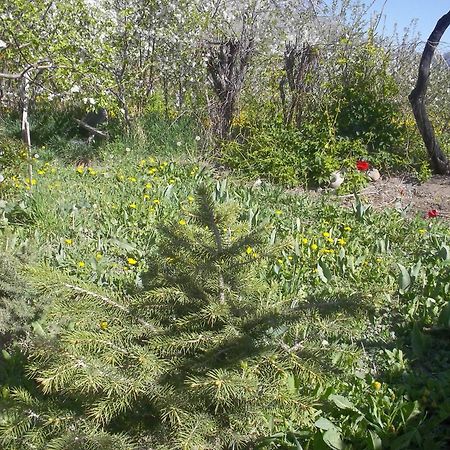 ホテル Issyk-Kul - Camping Grigoryevka Grigor'yevka エクステリア 写真