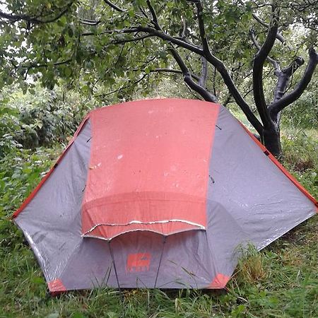 ホテル Issyk-Kul - Camping Grigoryevka Grigor'yevka エクステリア 写真