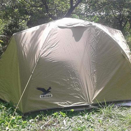 ホテル Issyk-Kul - Camping Grigoryevka Grigor'yevka エクステリア 写真