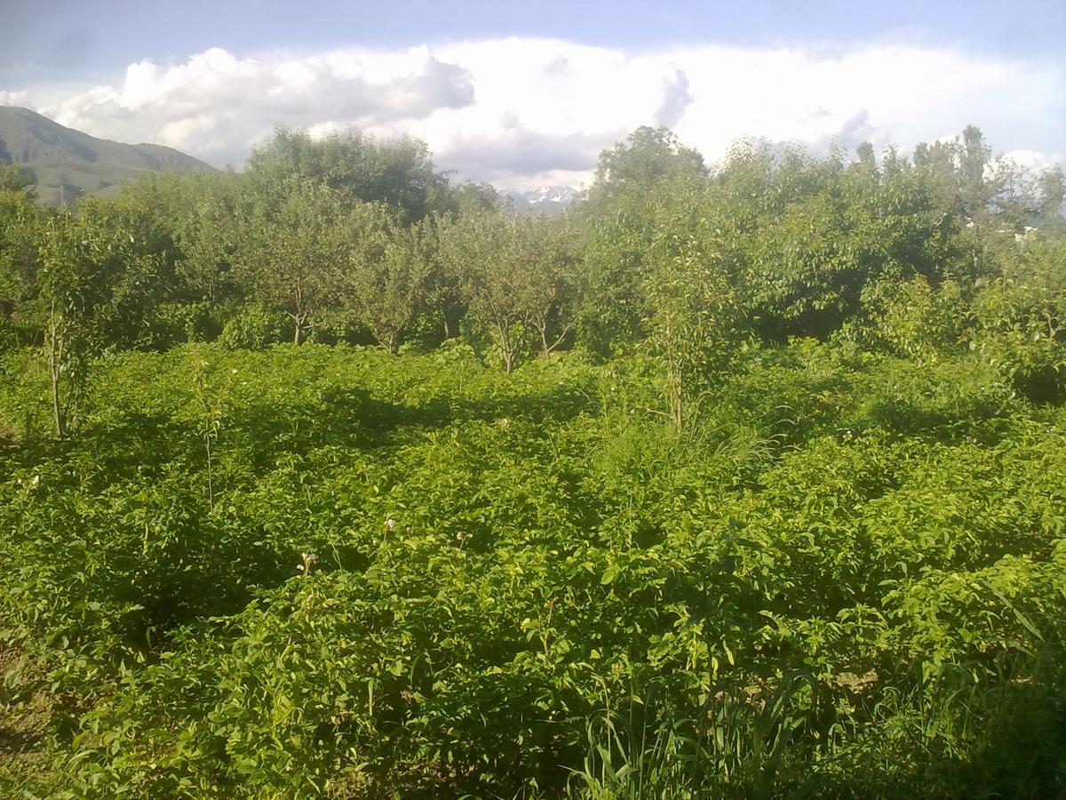 ホテル Issyk-Kul - Camping Grigoryevka Grigor'yevka エクステリア 写真