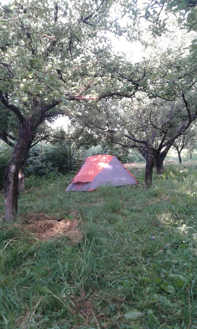 ホテル Issyk-Kul - Camping Grigoryevka Grigor'yevka エクステリア 写真