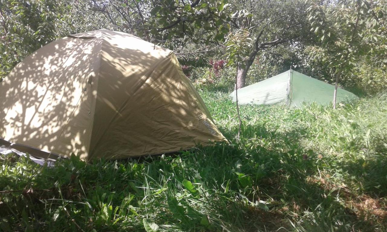 ホテル Issyk-Kul - Camping Grigoryevka Grigor'yevka エクステリア 写真